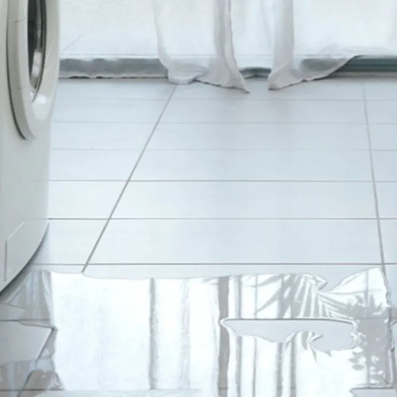 Appliance Leak Cleanup in Gordonsville, VA