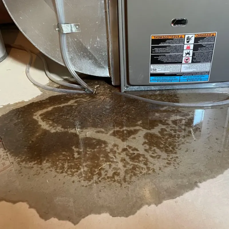 Pipe Burst and Leak Restoration in Gordonsville, VA