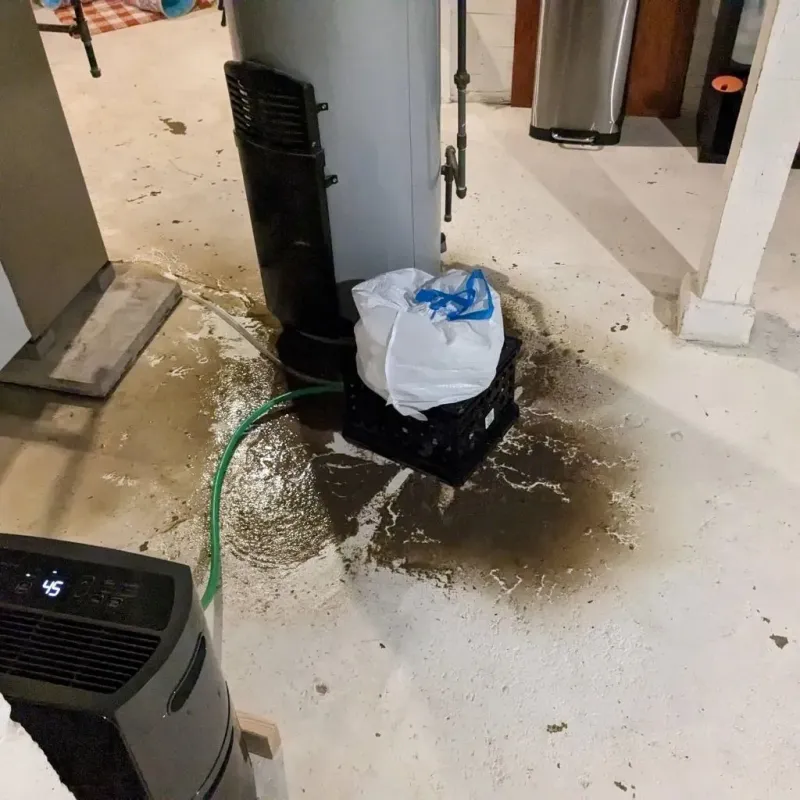 Sewage Backup Cleanup Service in Gordonsville, VA